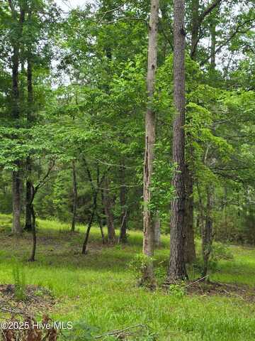 206 Yellow Fin Court, Sneads Ferry, NC 28460