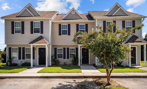 205 Lanieve Court, Hubert, NC 28539