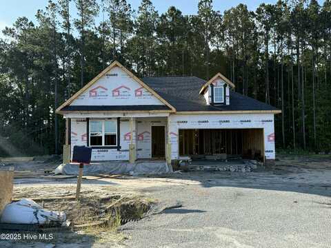 262 Browns Ferry Road, Jacksonville, NC 28546