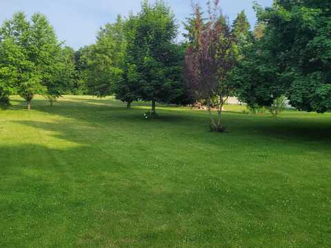 10041 Brooklawn Court, Jerome, MI 49249