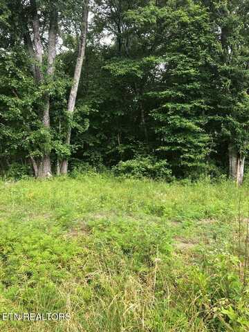 7114 Big Horn Drive, Crossville, TN 38572