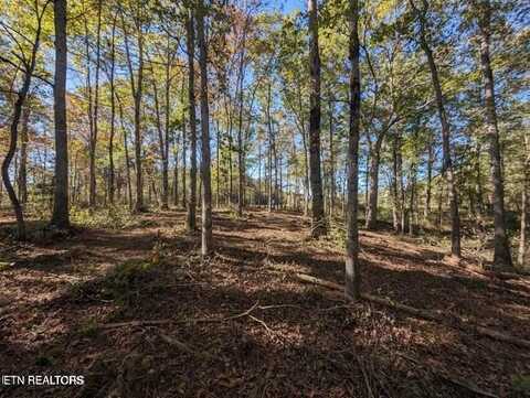 239 Sewell Drive, Allardt, TN 38504