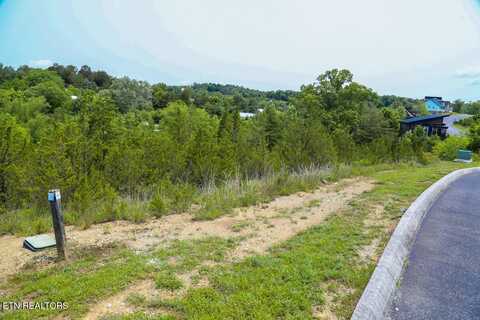 Blue Herring Way, Sevierville, TN 37876