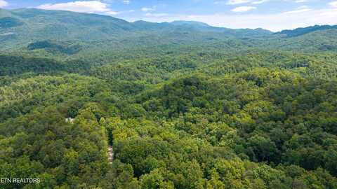 1618 Walnut Flats Rd, Walland, TN 37886