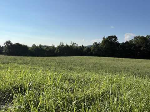 Lot 26 Amonett Circle, Byrdstown, TN 38549