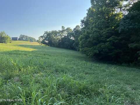 Lot 19 Amonett Circle, Byrdstown, TN 38549