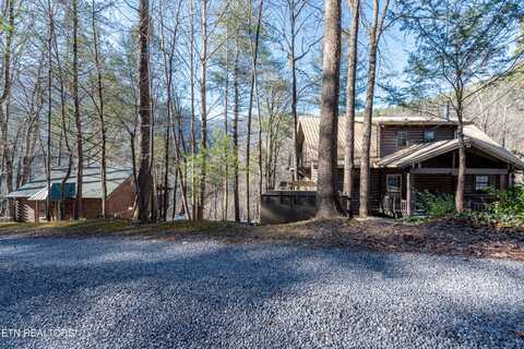 212 & 216 Parkline Way, Townsend, TN 37882