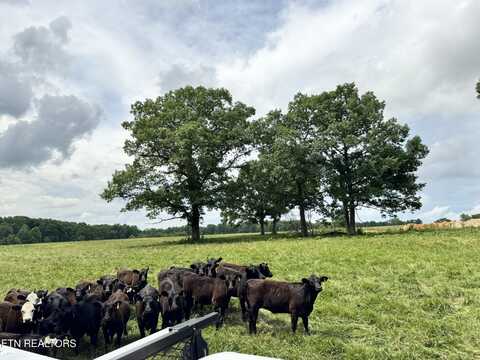 Old Bean Shed,34Acres Rd, Clarkrange, TN 38553