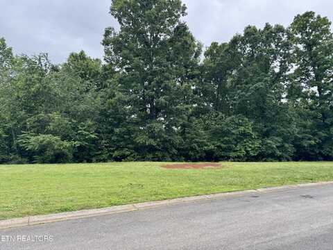 3325 Preserve Pointe, Louisville, TN 37777