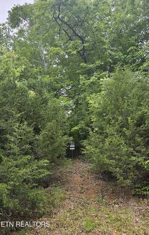 Lot 491 Citron Ln, New Tazewell, TN 37825