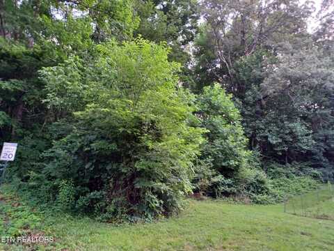 2732 Willocks Ave, Maryville, TN 37804