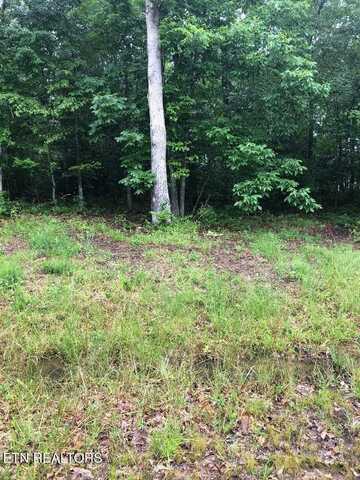 215 Nehasane Lane Lane, Crossville, TN 38572