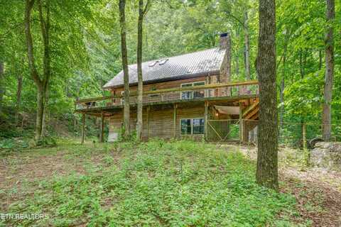 56 TIMBER RIDGE, Pikeville, TN 37367
