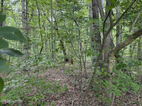 Lollar Drive, Monterey, TN 38574
