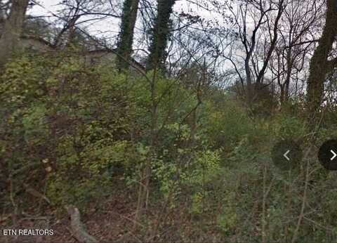 0 Waverly St, Knoxville, TN 37921