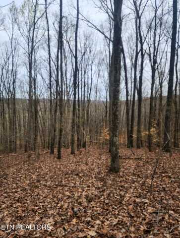 Upper Concord Rd, Ten Mile, TN 37880