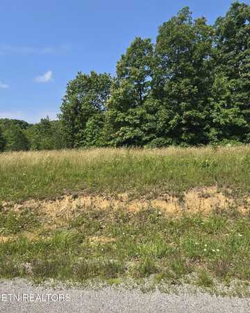 Lot 61 Stone Cliff Lane, Jamestown, TN 38556