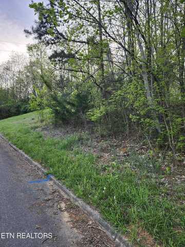 NE Lot #2 Walk In The Trees Drive, New Market, TN 37820