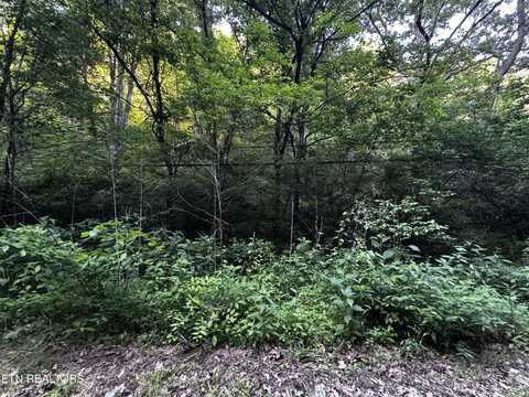 Highway 61 East, Luttrell, TN 37779
