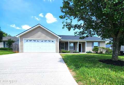 6206 Jim Fox Lane, Powell, TN 37849
