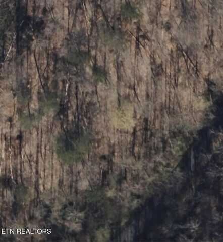 139 Collins Gap Rd, Heiskell, TN 37754