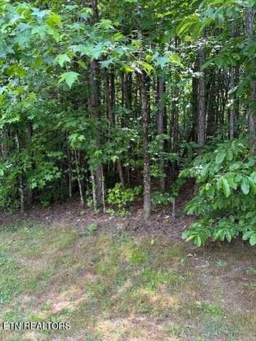 Indigo Bunting Drive, Harriman, TN 37748
