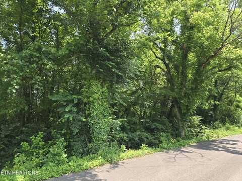 4105 Selma Ave, Knoxville, TN 37914