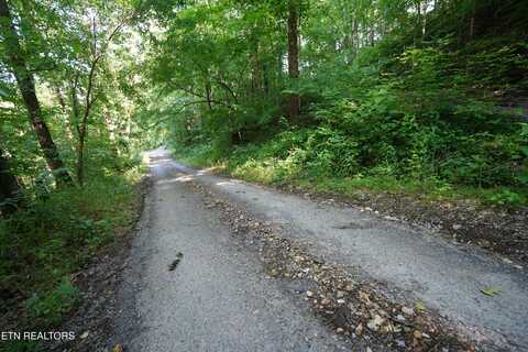 Holiday Haven Rd, Smithville, TN 37166