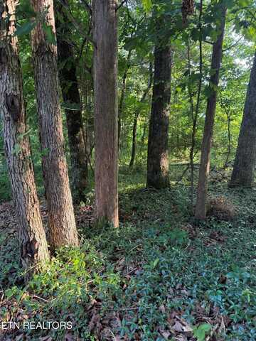 Lot 8 Catoosa Woods Drive, Lancing, TN 37770