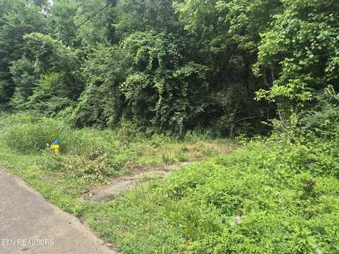 Waynewood Drive, Knoxville, TN 37912