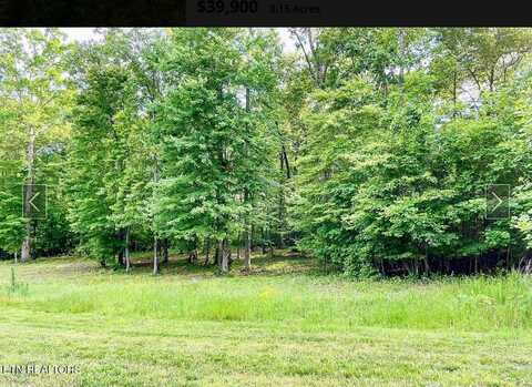 109 W Mountain Drive, Rockwood, TN 37854