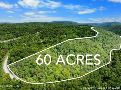 Stinking Creek 61 acres Rd, Pioneer, TN 37847