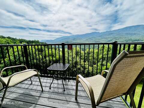 3710 Weber Rd, Gatlinburg, TN 37738