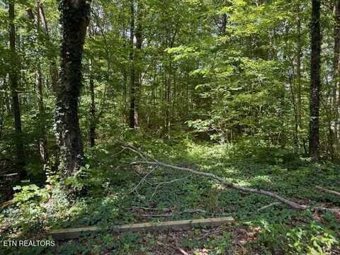 Bates Gibson Rd, Sevierville, TN 37876