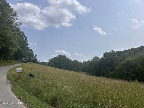 Nursey Rd, Rose Hill, VA 24281