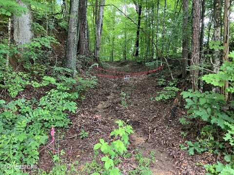 Gray Rd, Knoxville, TN 37938