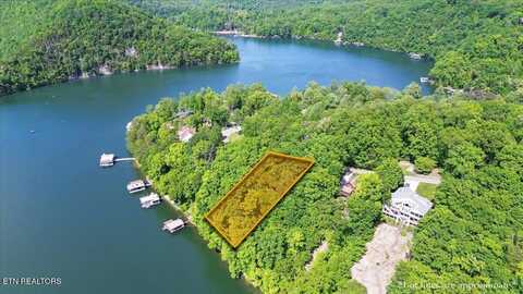 N Shorewood Ln, Lot 20, Caryville, TN 37714