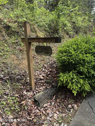 1960 Regans Ridge Way, Sevierville, TN 37876
