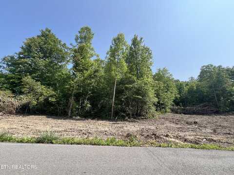 Ditney Trail Tr, Pioneer, TN 37847