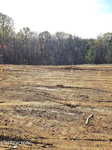 260 Wells Rd, Powell, TN 37849