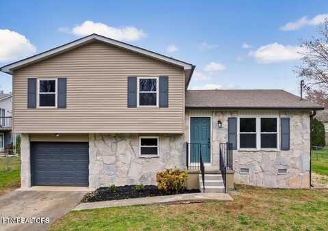 3907 Vienna Drive, Knoxville, TN 37912