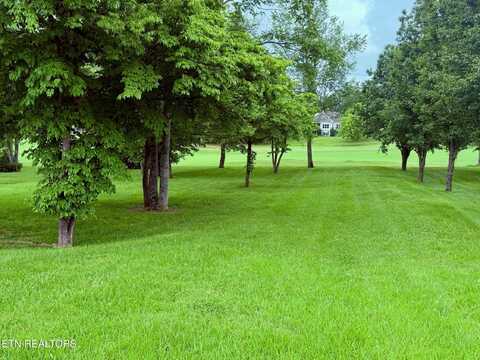 113 Nunnehi Tr., Vonore, TN 37885