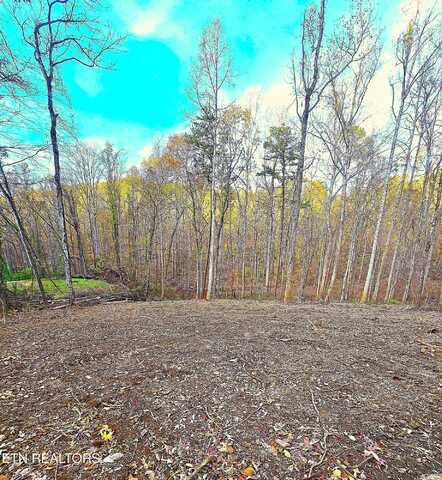278 Norman Rd, Powell, TN 37849