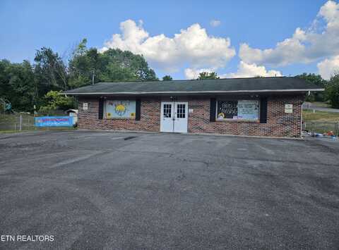 813 Wye Drive, Seymour, TN 37865