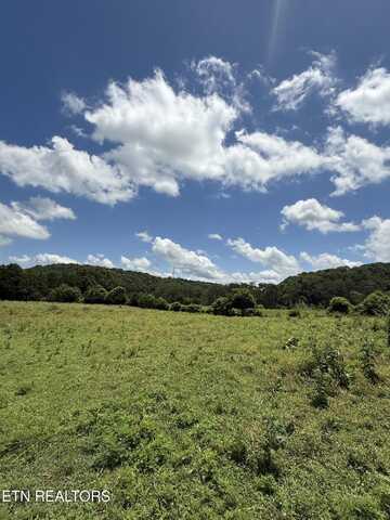 0 Newman Lane, Blaine, TN 37709