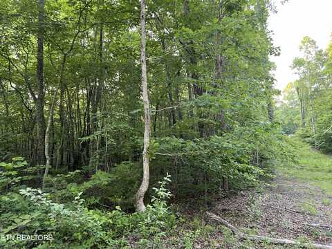 Carson Town Rd, Sunbright, TN 37872