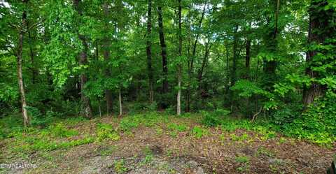121 Ootsima Way, Loudon, TN 37774