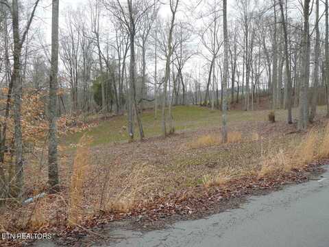 Parsons Lane, Tazewell, TN 37879