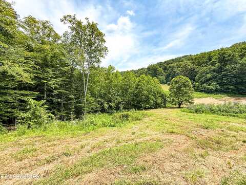 117 Cherry Oak Drive, Oak Ridge, TN 37830