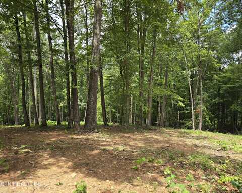 248 Norman Rd, Powell, TN 37849